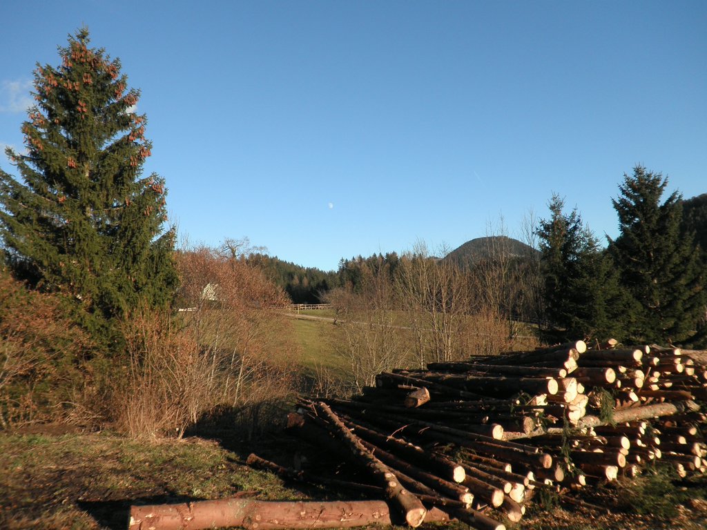PB280088.JPG
