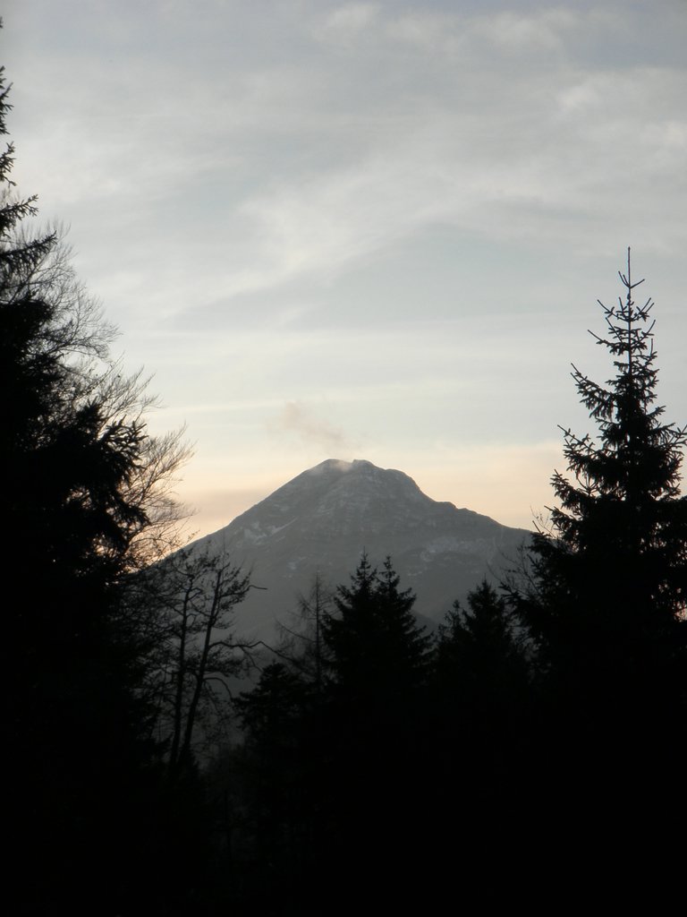 PB280094.JPG