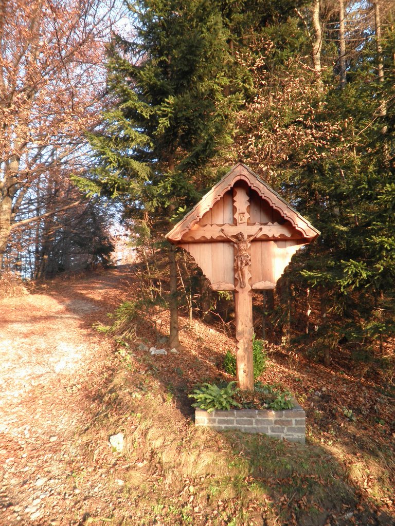 PB280095.JPG