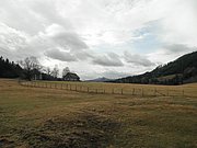 PB280019.JPG