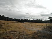 PB280026.JPG