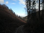 PB280032.JPG