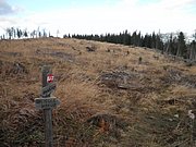 PB280055.JPG
