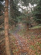 PB280058.JPG