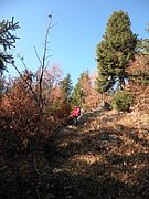 PB280067.JPG