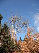 PB280068.JPG