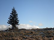 PB280073.JPG