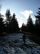 PB280074.JPG