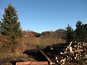 PB280088.JPG