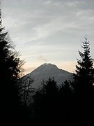 PB280094.JPG
