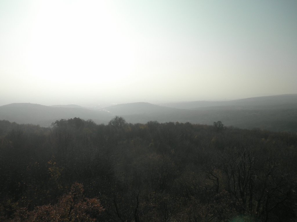 PB120009.JPG