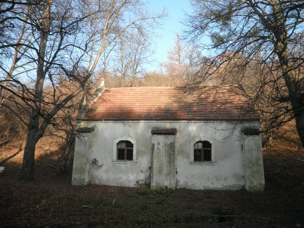 PB120020.JPG