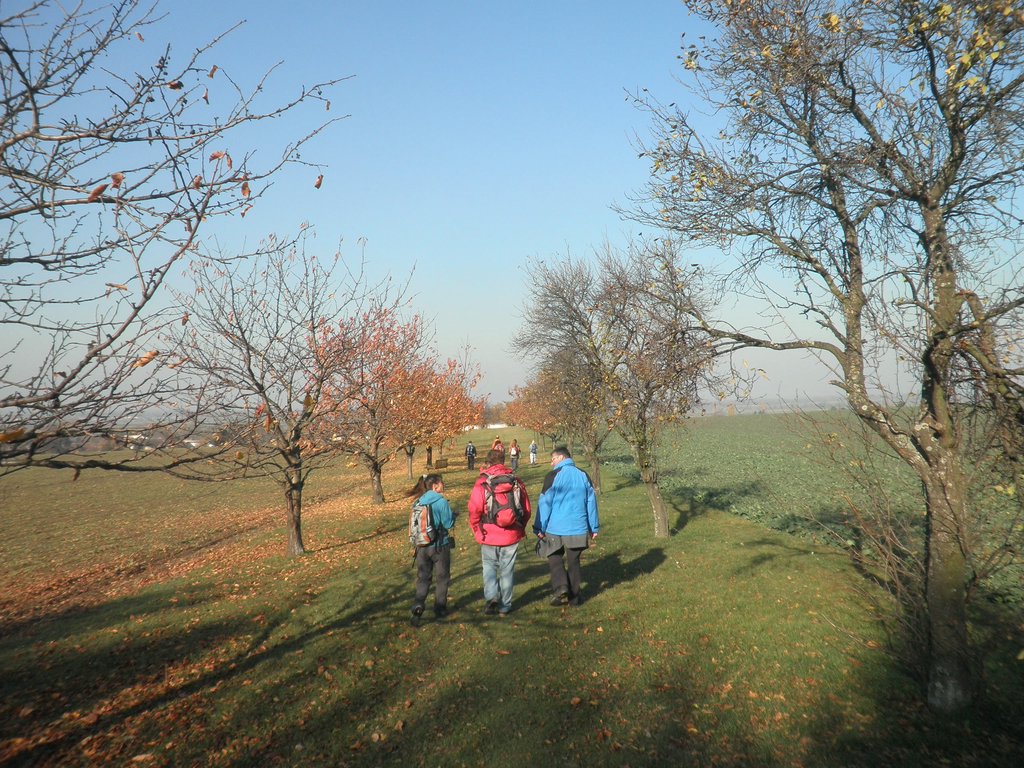 PB120024.JPG