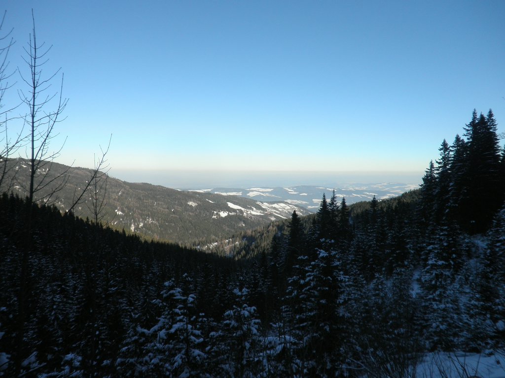 P1290058.JPG