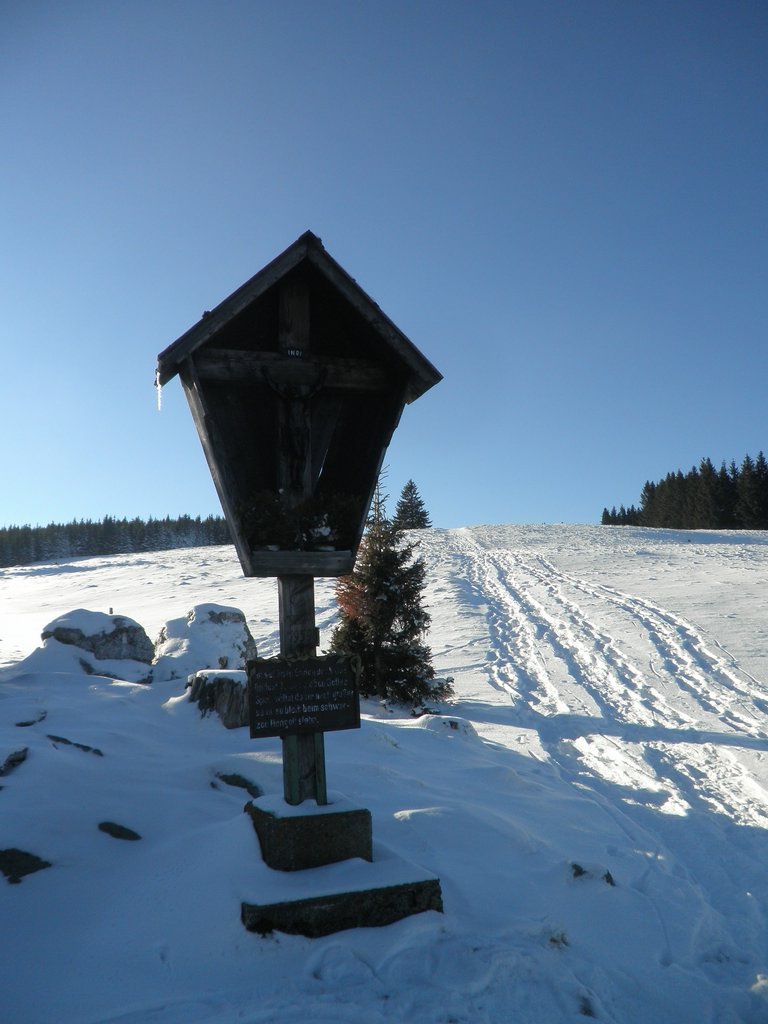 P1290073.JPG