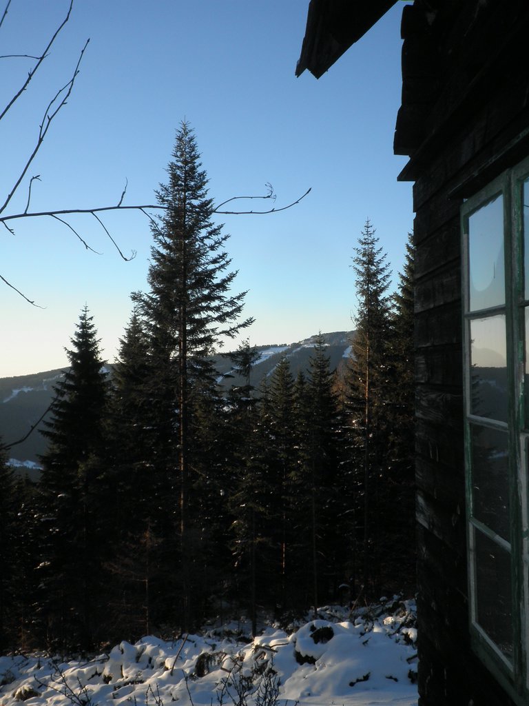 P1300186.JPG