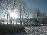 P1290007.JPG