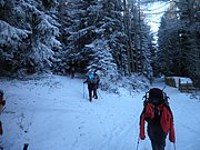 P1290021.JPG