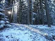 P1290027.JPG