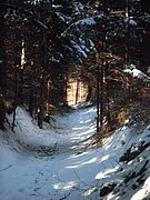 P1290031.JPG