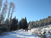 P1290034.JPG