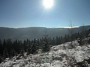 P1290035.JPG