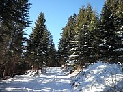P1290037.JPG