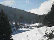P1290039.JPG