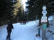 P1290057.JPG