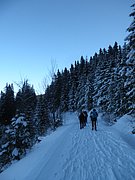 P1290059.JPG