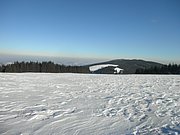 P1290064.JPG