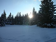 P1290086.JPG