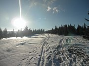 P1290089.JPG