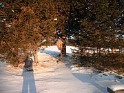 P1290105.JPG