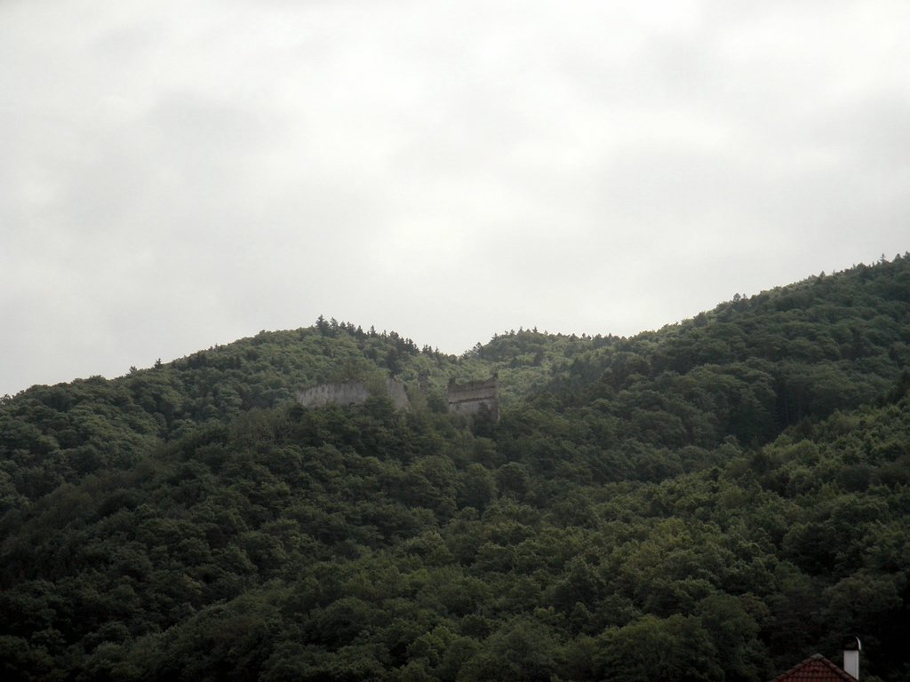 P5080003.JPG