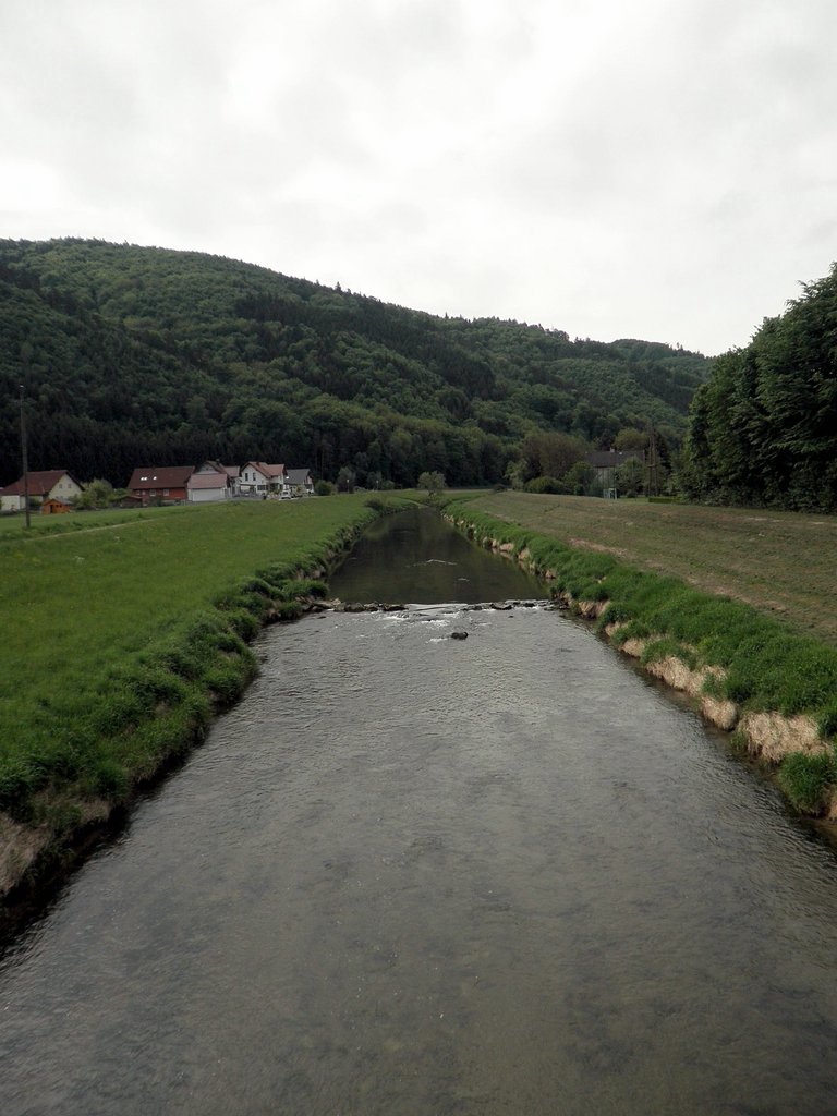 P5080006.JPG