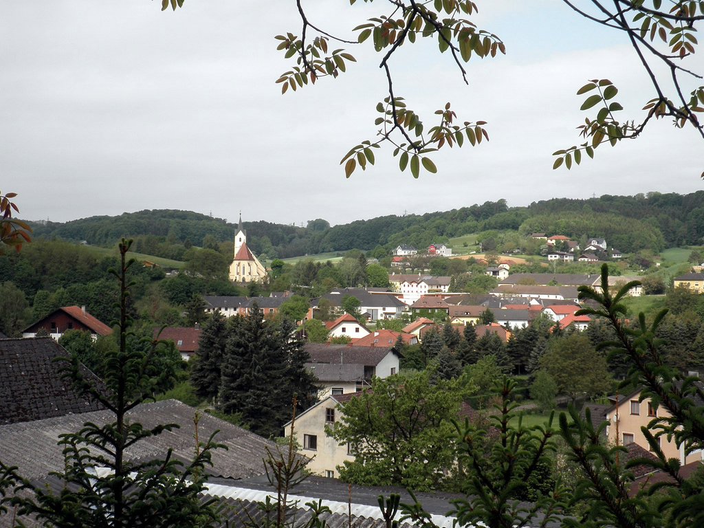 P5080010.JPG