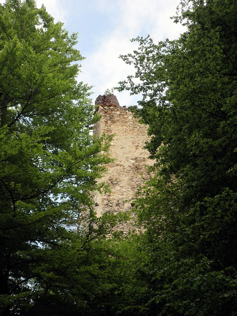 P5080018.JPG