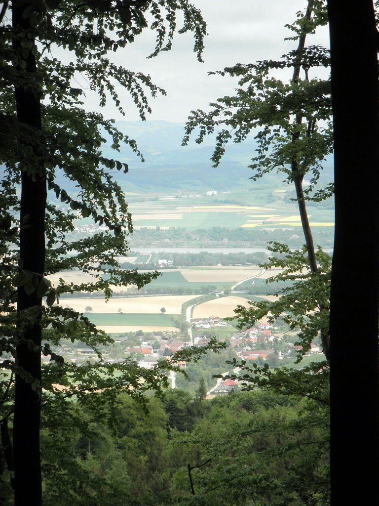 P5080032.JPG