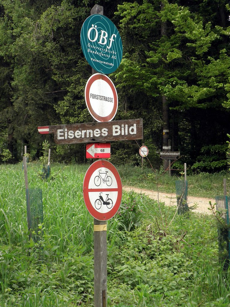 P5080047.JPG