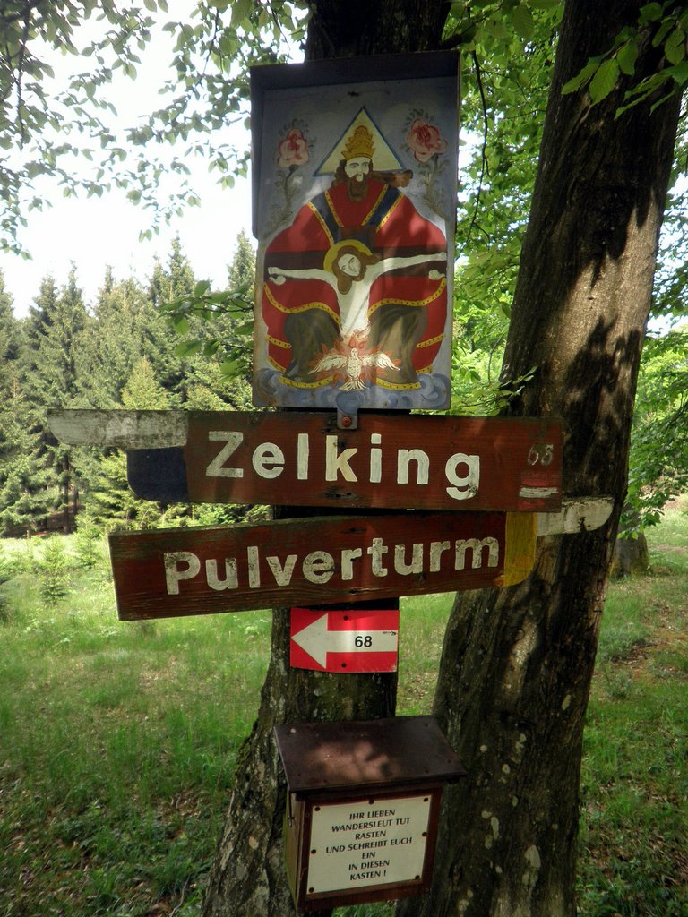 P5080062.JPG