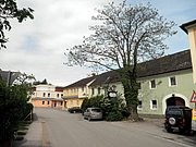 P5080001.JPG