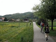 P5080002.JPG