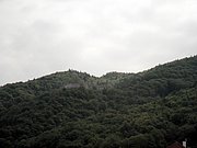 P5080003.JPG