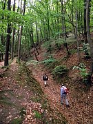 P5080011.JPG