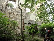 P5080013.JPG