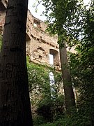 P5080015.JPG