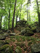 P5080022.JPG