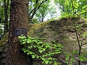 P5080025.JPG