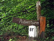 P5080045.JPG